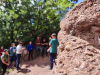 Balatonalmadi__Kocsi-to_kavicsos_homokko