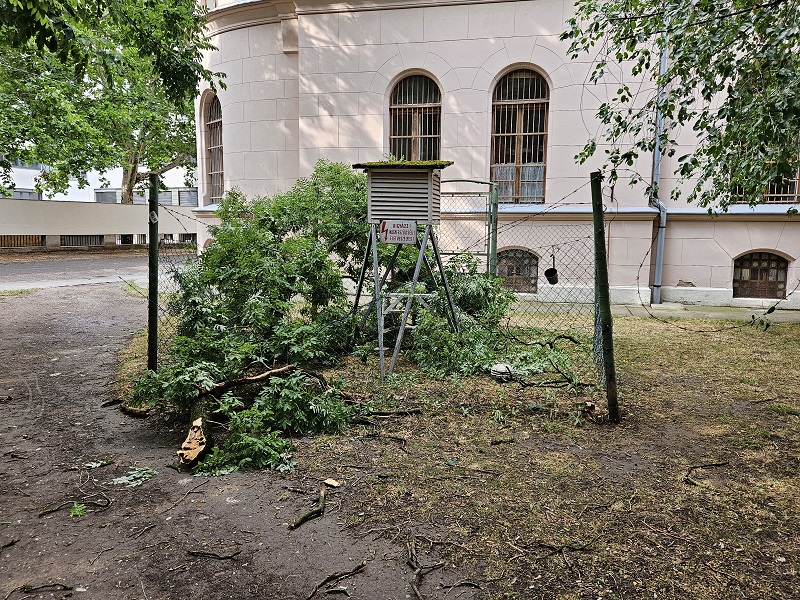meteorologiai_allomas