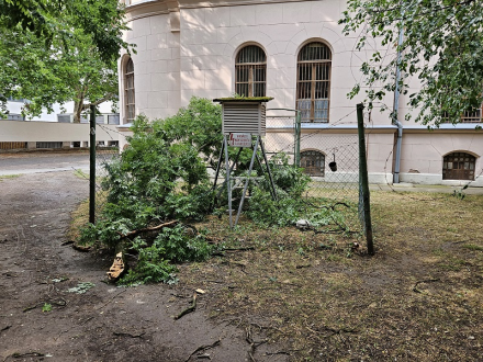 meteorologiai_allomas