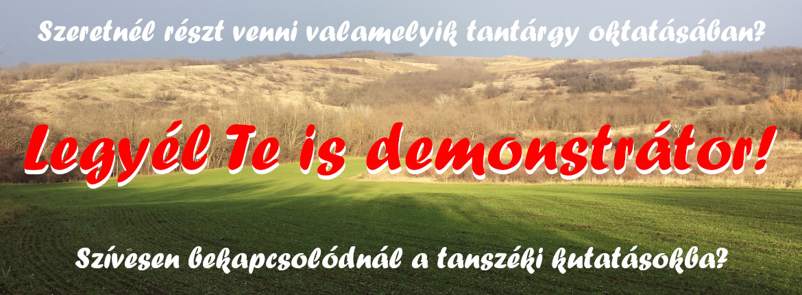 demonstrator demonstrator